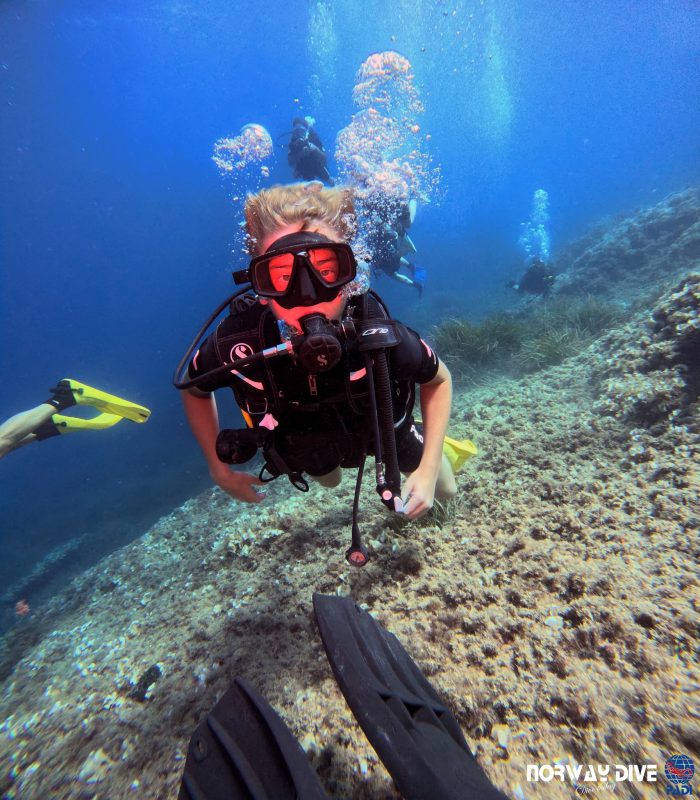 PADI Advanced Open Water Diver - Image 5
