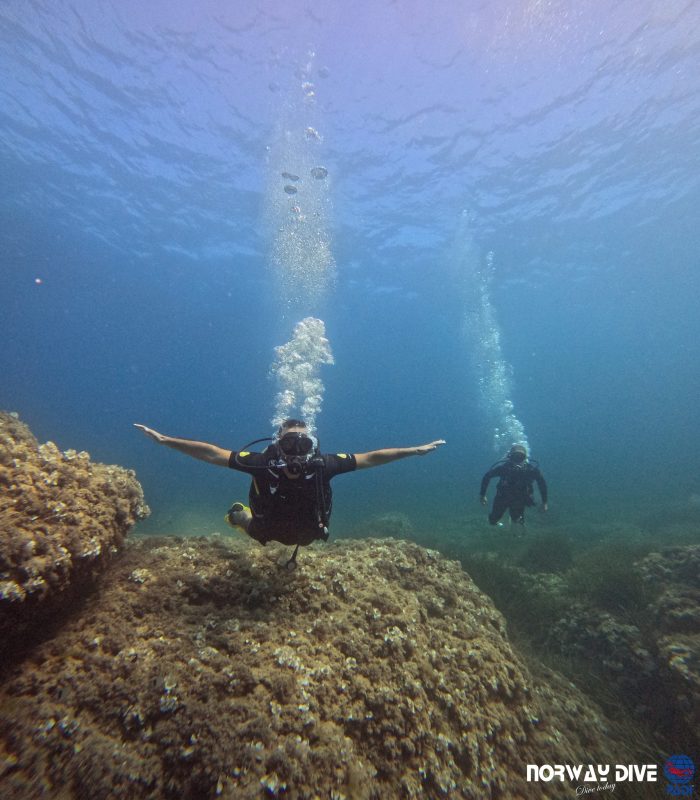 PADI Advanced Open Water Diver - Image 4