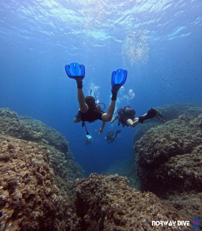 PADI Advanced Open Water Diver - Image 2