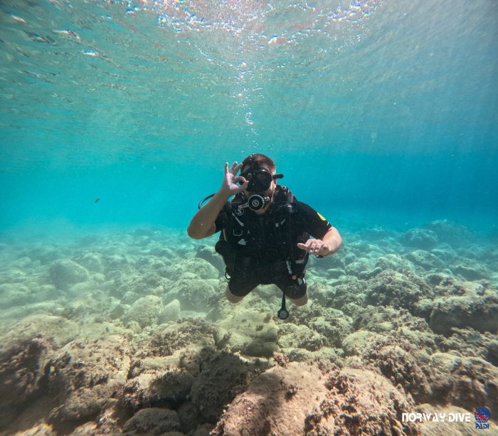 PADI Open Water Diver - Image 4