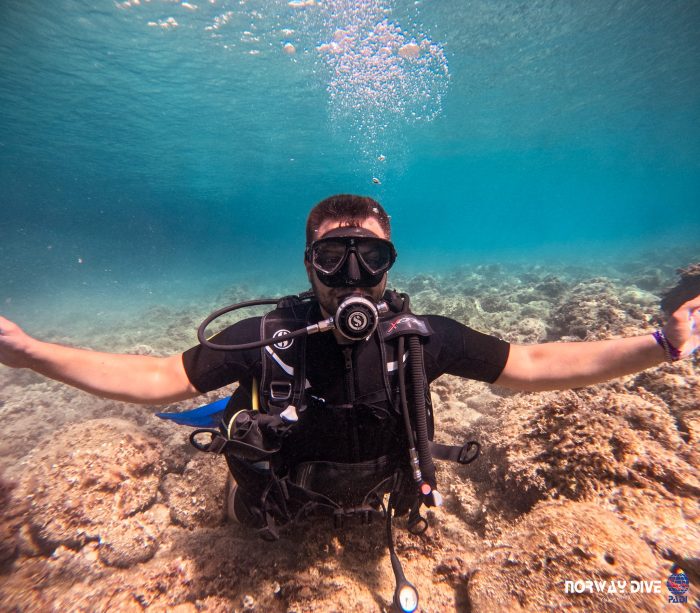 PADI Open Water Diver - Image 3