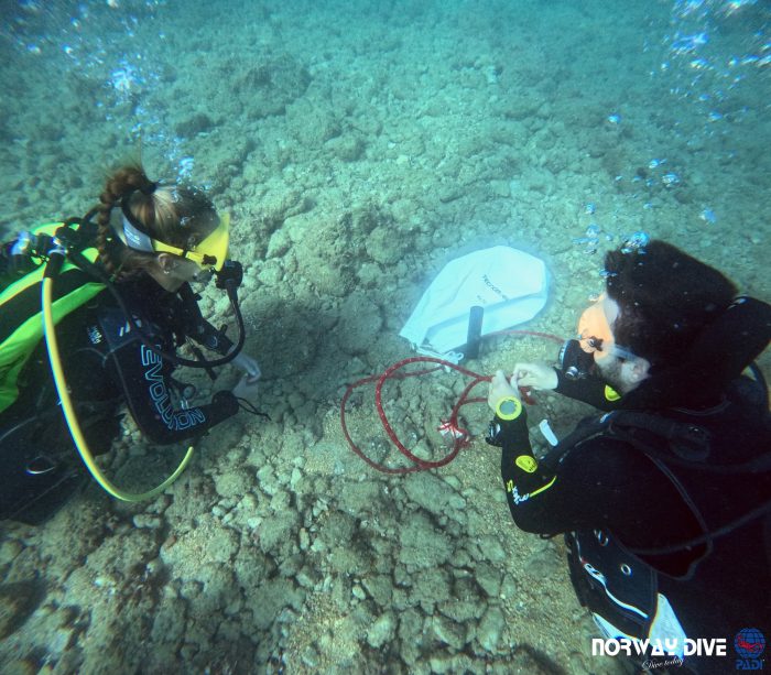 PADI Advanced Open Water Diver - Image 12