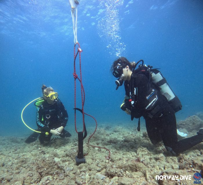 PADI Advanced Open Water Diver - Image 11