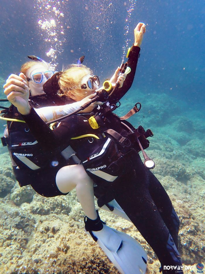 PADI Rescue Diver - Image 26