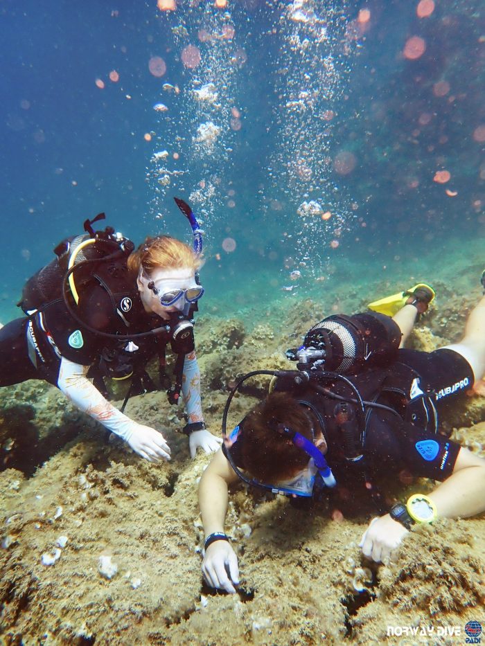 PADI Rescue Diver - Image 25
