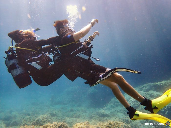 PADI Rescue Diver - Image 4