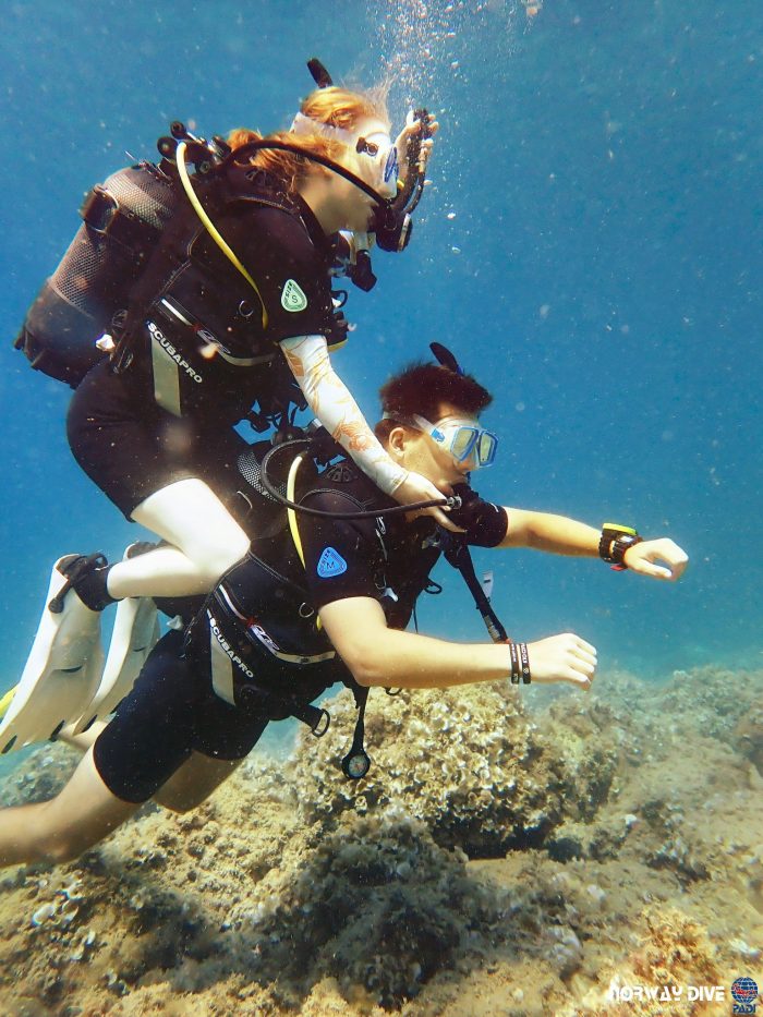 PADI Rescue Diver - Image 24