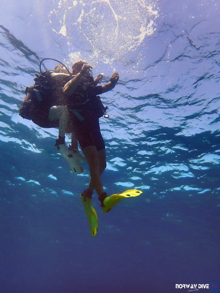 PADI Rescue Diver - Image 23