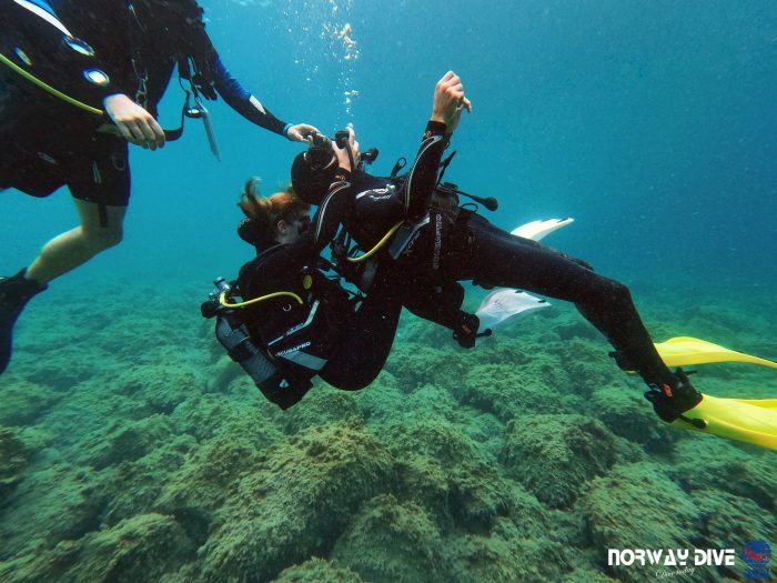PADI Rescue Diver - Image 19