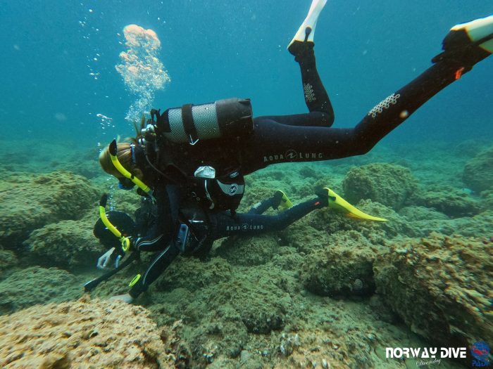PADI Rescue Diver - Image 18