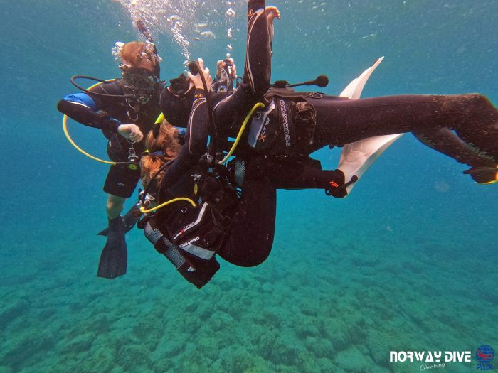 PADI Rescue Diver - Image 17