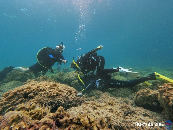 PADI Rescue Diver - Image 16