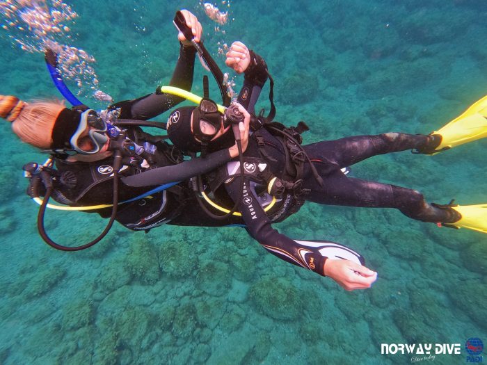 PADI Rescue Diver - Image 15