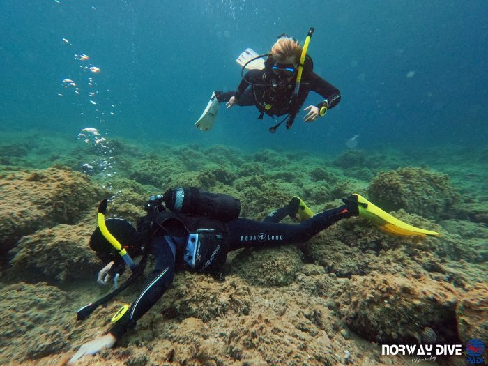 PADI Rescue Diver - Image 14
