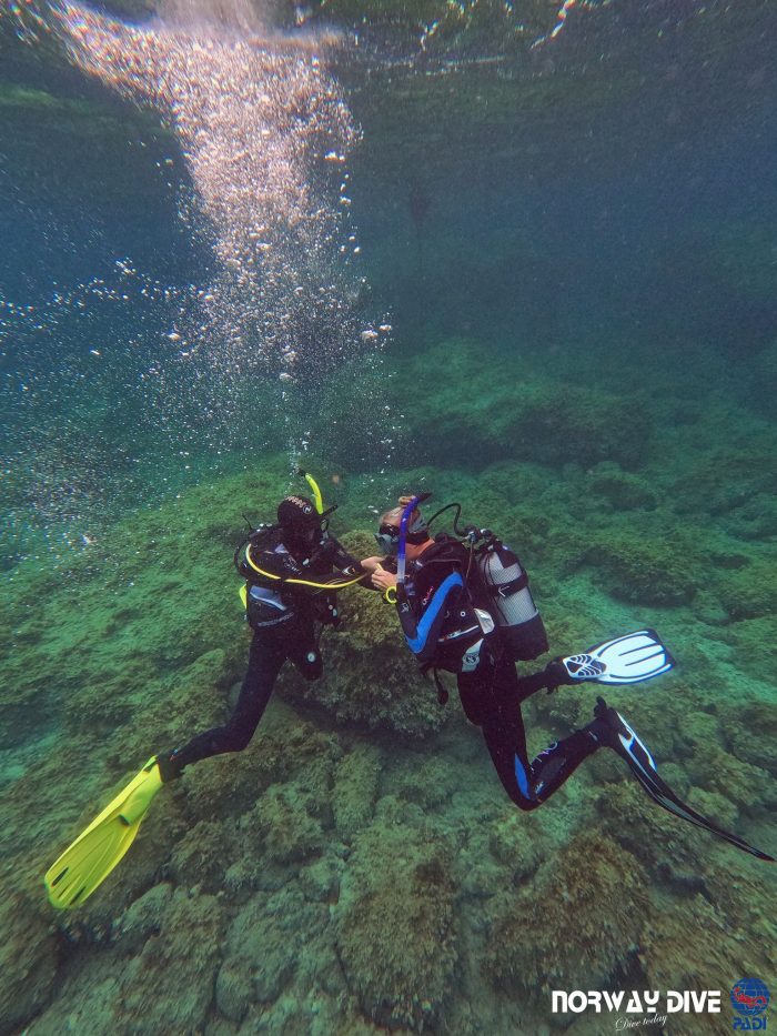 PADI Rescue Diver - Image 13
