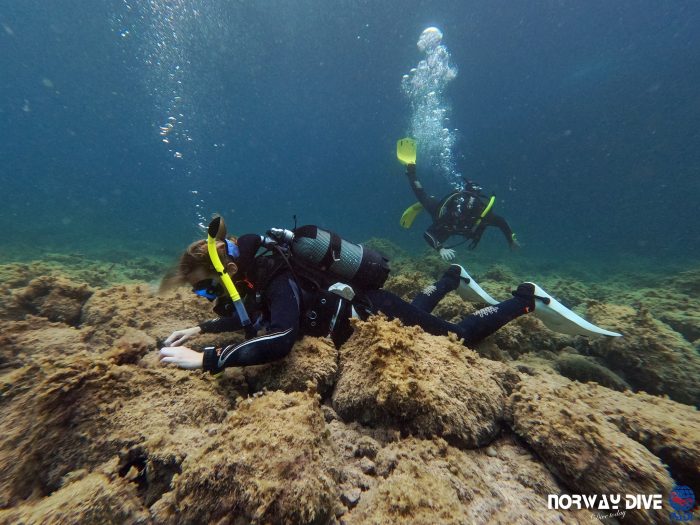 PADI Rescue Diver - Image 12