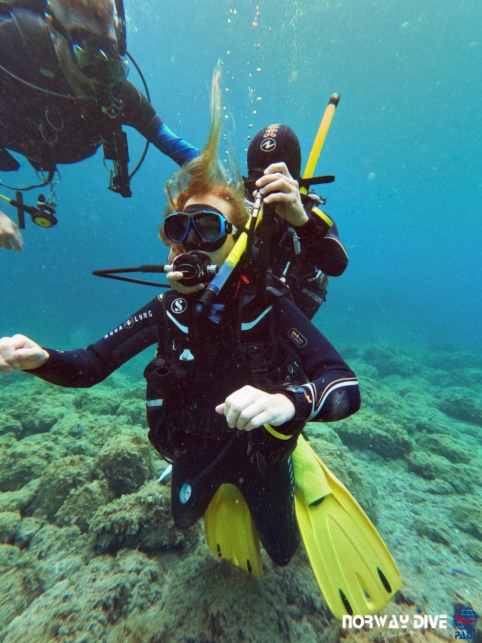 PADI Rescue Diver - Image 11