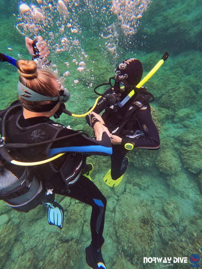 PADI Rescue Diver - Image 10
