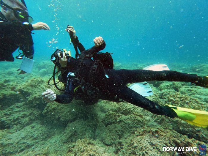 PADI Rescue Diver - Image 7