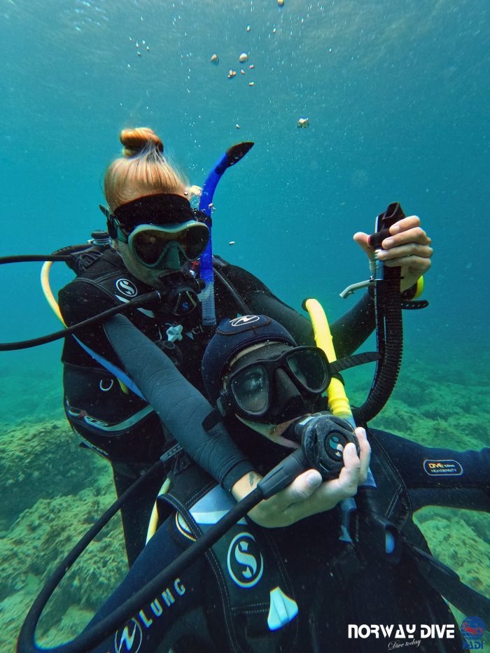 PADI Rescue Diver - Image 3
