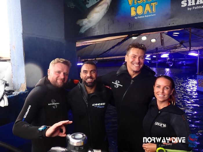 Shark Diving at Palma Aquarium - Image 43