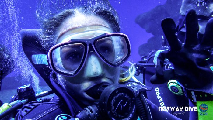 Shark Diving at Palma Aquarium - Image 39
