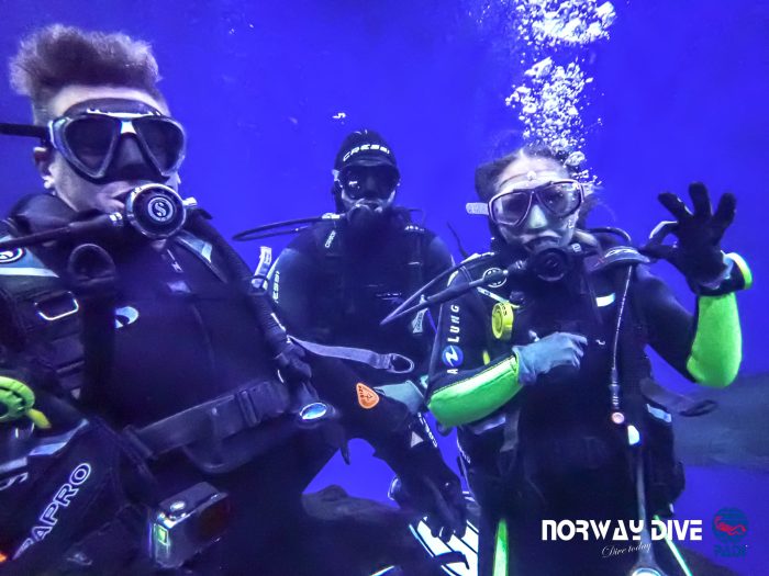 Shark Diving at Palma Aquarium - Image 36