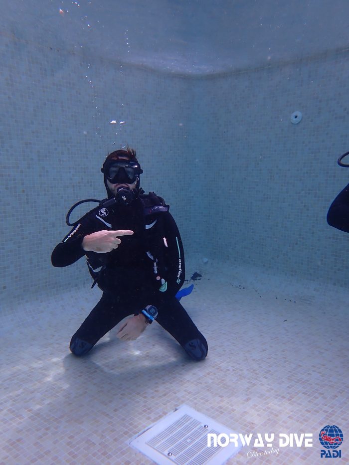 PADI Divemaster - Image 22