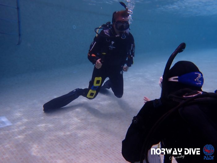 PADI Divemaster - Image 21