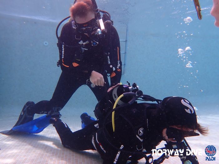 PADI Divemaster - Image 17