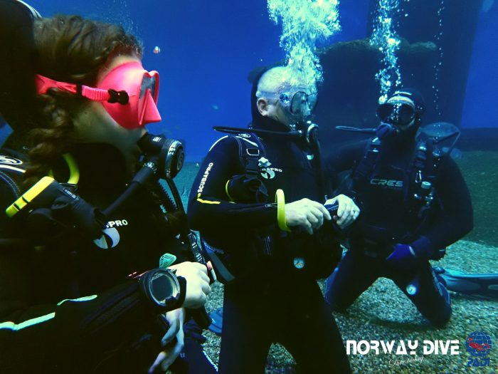 Shark Diving at Palma Aquarium - Image 18
