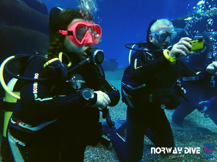Shark Diving at Palma Aquarium - Image 2
