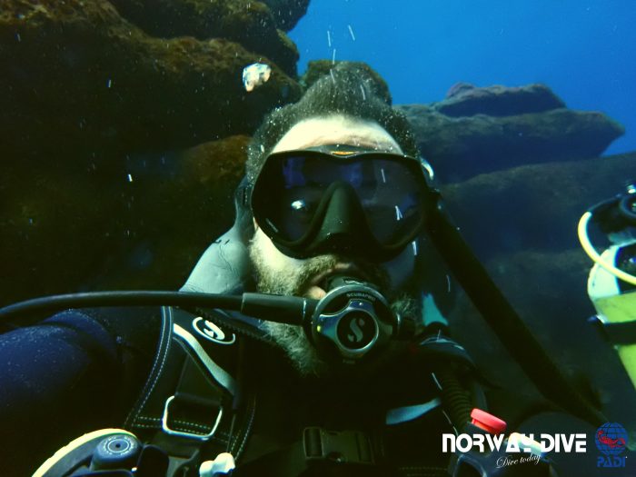 Shark Diving at Palma Aquarium - Image 11