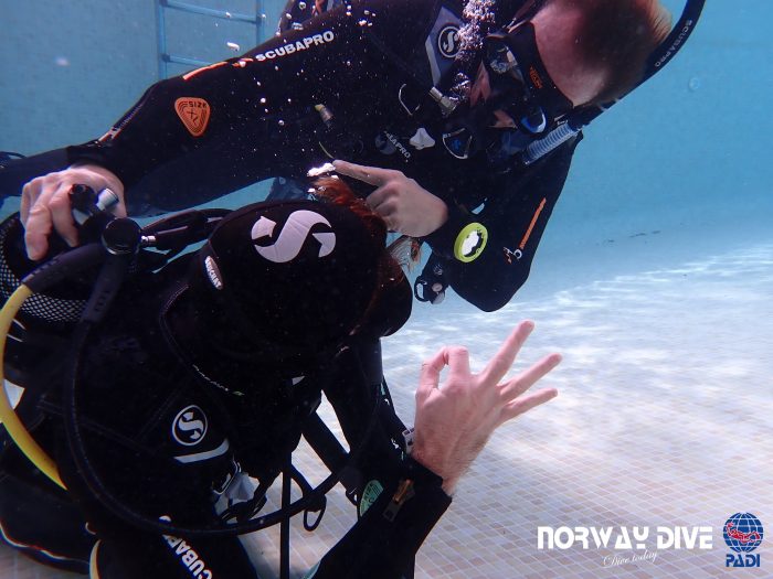 PADI Divemaster - Image 12