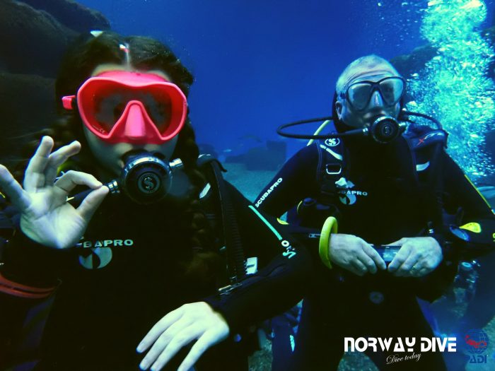 Shark Diving at Palma Aquarium - Image 10