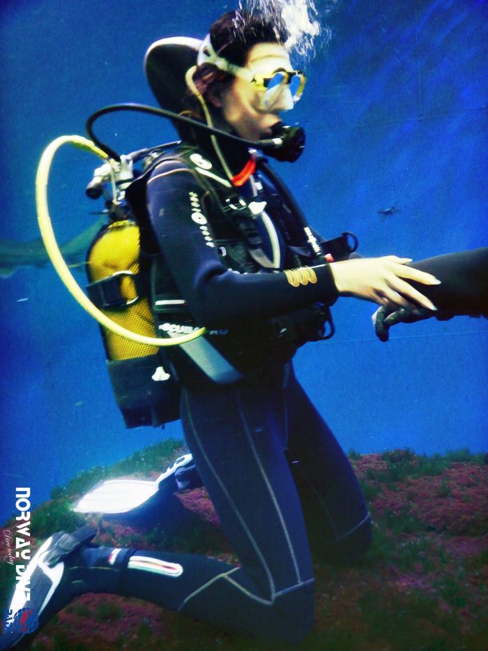 Shark Diving at Palma Aquarium - Image 72