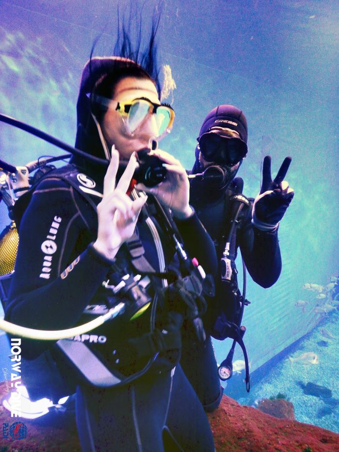 Shark Diving at Palma Aquarium - Image 69