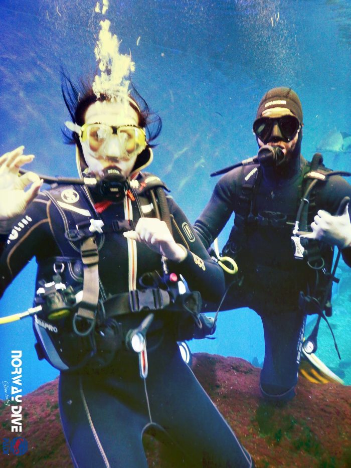 Shark Diving at Palma Aquarium - Image 67