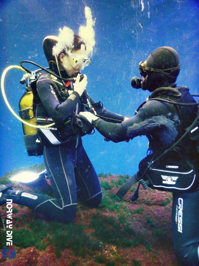 Shark Diving at Palma Aquarium - Image 63