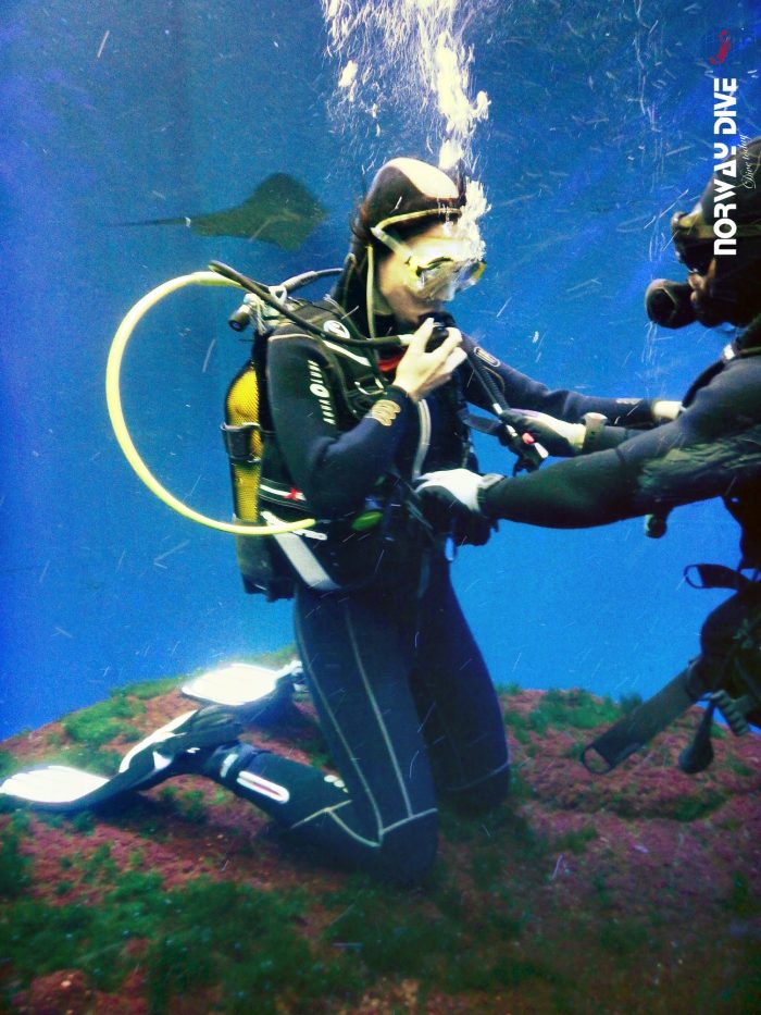 Shark Diving at Palma Aquarium - Image 62