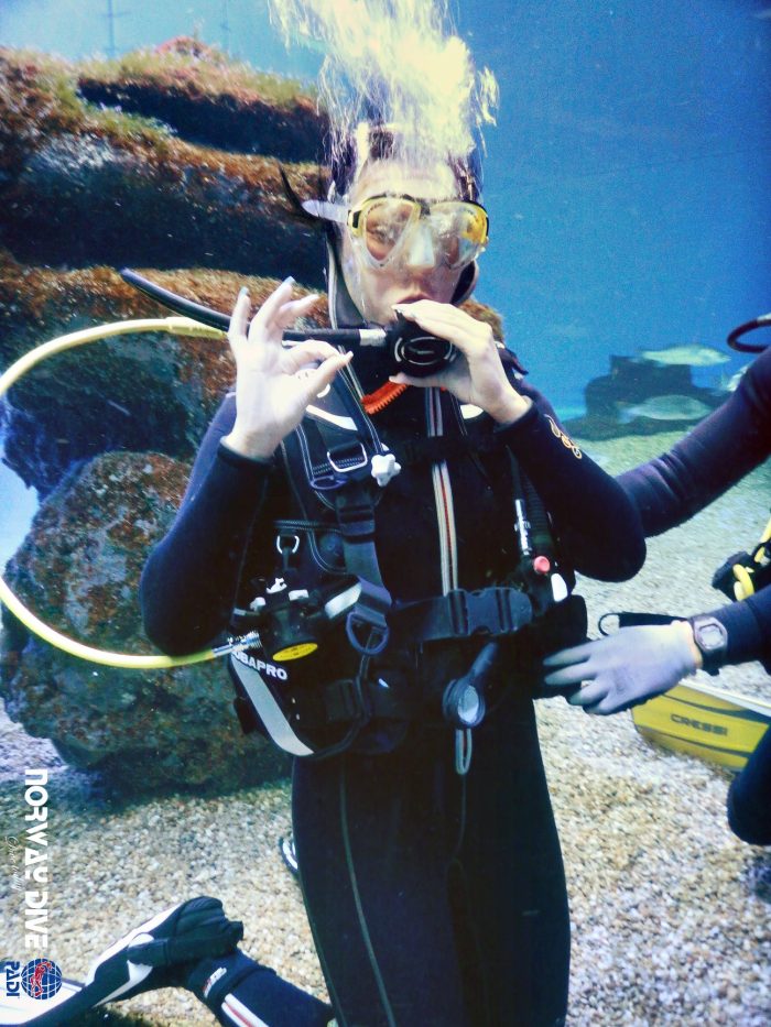 Shark Diving at Palma Aquarium - Image 59