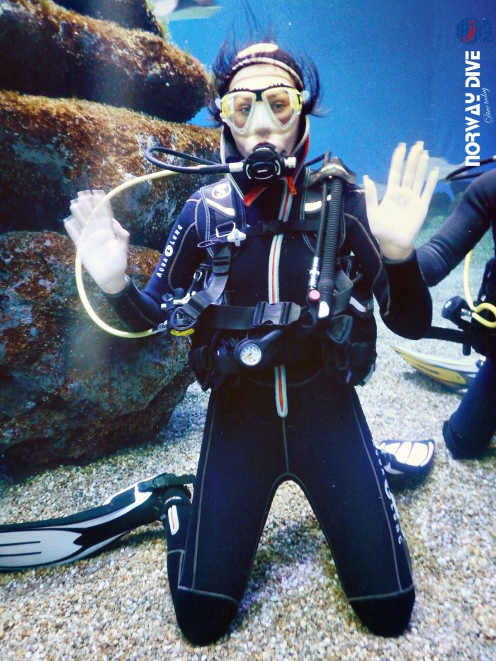 Shark Diving at Palma Aquarium - Image 57