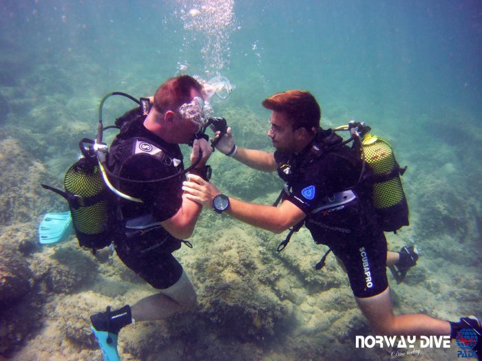 PADI Divemaster - Image 11