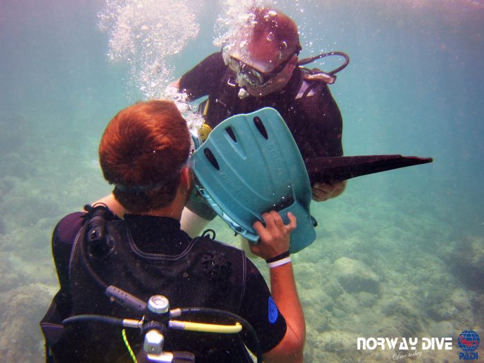 PADI Divemaster - Image 9