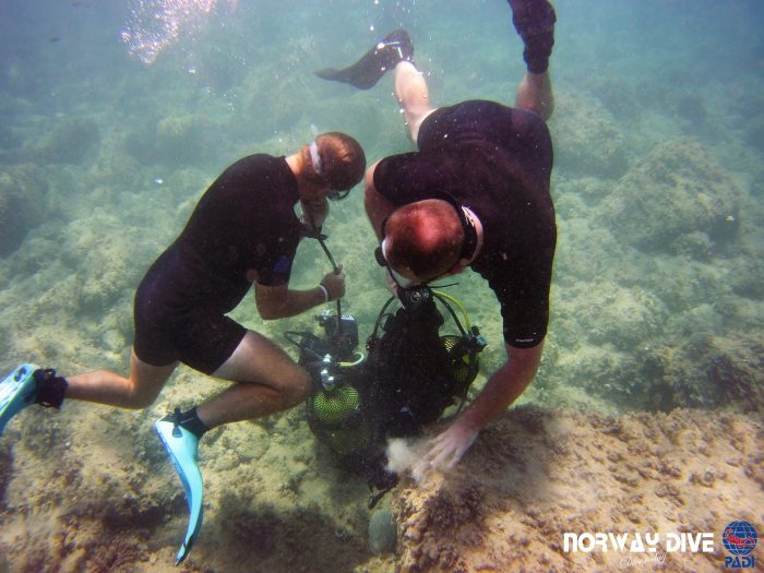PADI Divemaster - Image 8