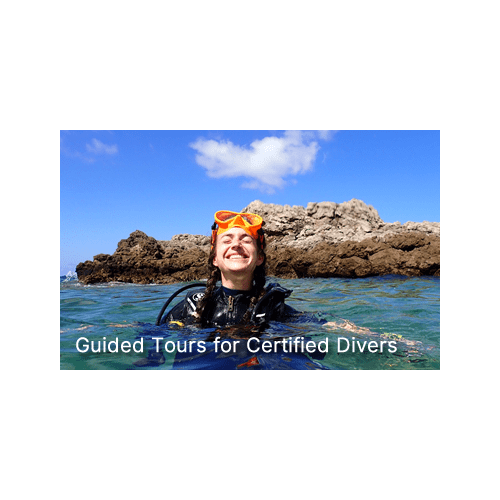 Guided Tours for Certified Divers