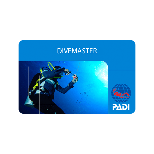 PADI Divemaster & Internship