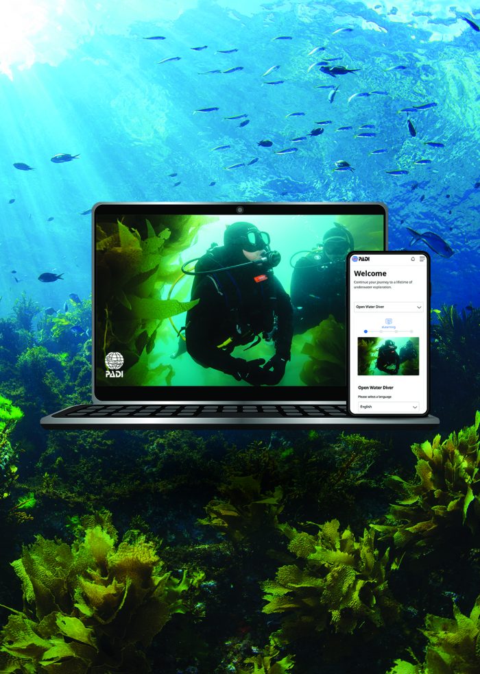 PADI E-Learning - Image 7