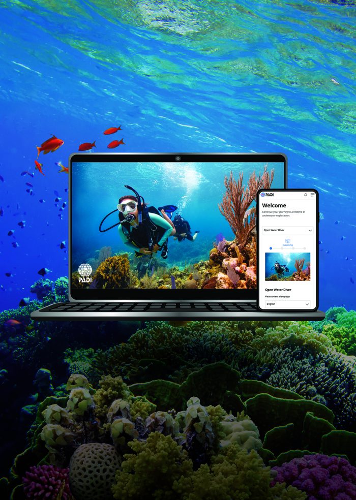 PADI E-Learning - Image 8