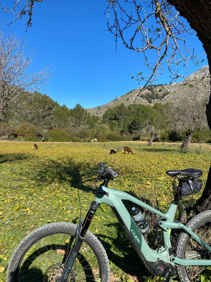EMTB Mallorca Custom Payment € - Image 11